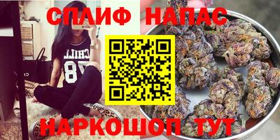 герыч Можга