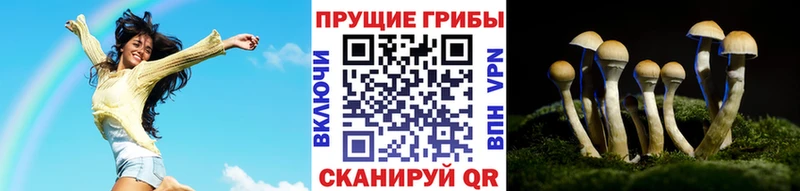 продажа наркотиков  Азов  Галлюциногенные грибы мицелий 
